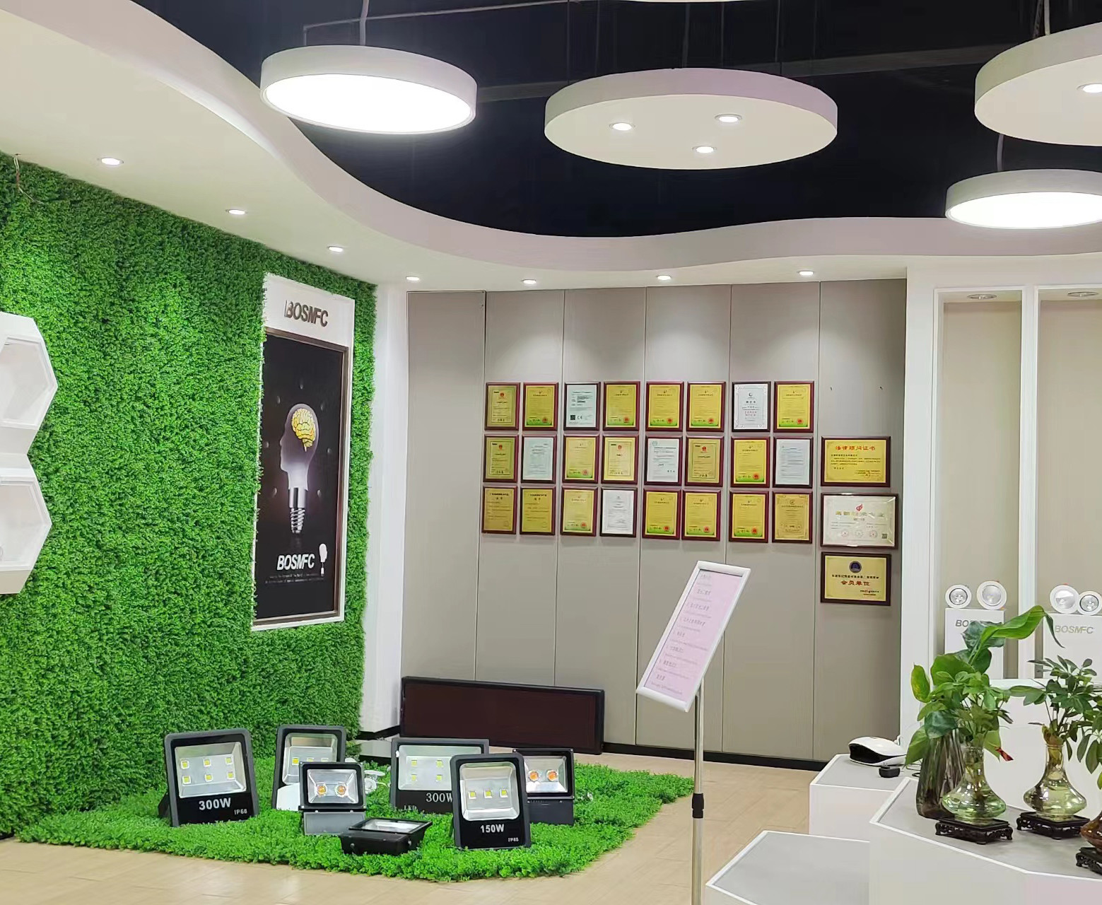 China Dongguan Lanjin Optoelectronics Co., Ltd. Perfil de la compañía