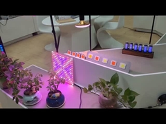 Chip SMD para la luz de cultivo de plantas en interiores