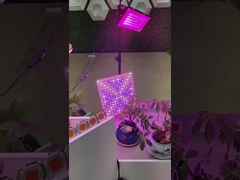 2835 SMD LED PCB de espectro completo COB Para plantas LED luz de crecimiento