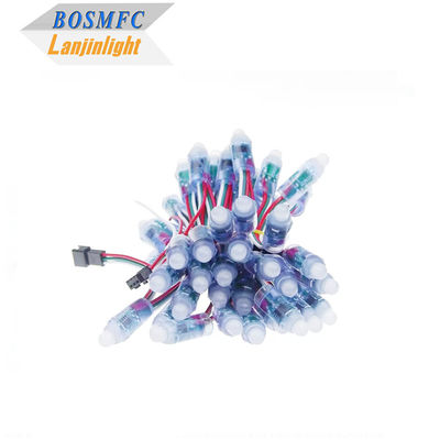 RGB Full Color Pixel Impermeable WS2811 Pixels Direccionable digital LED Globo Lámparas de cuerda 12mm DC 5V
